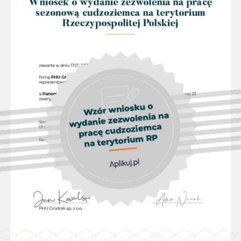 Grafika wniosek praca dla cudzoziemca