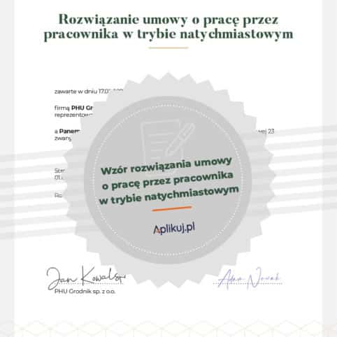 Rozwiązanie umowy grafika