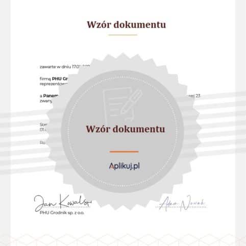 Wzór dokumentu grafika