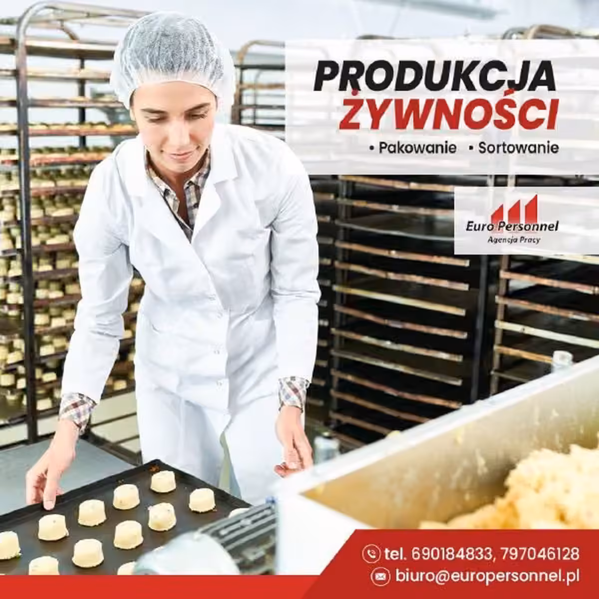 Holandia Praca na produkcji bez znajomości języka