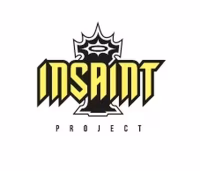Insaint Project