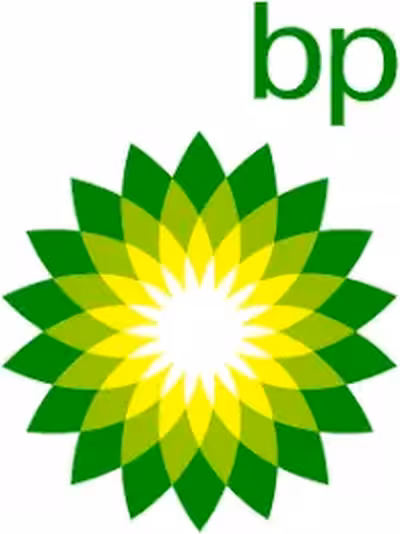 BP EUROPA SE SPÓŁKA EUROPEJSKA ODDZIAŁ W POLSCE