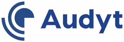 Audyt
