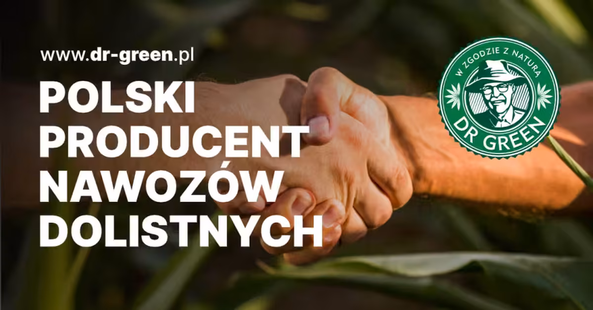 Specjalista/ka ds. obsługi klienta