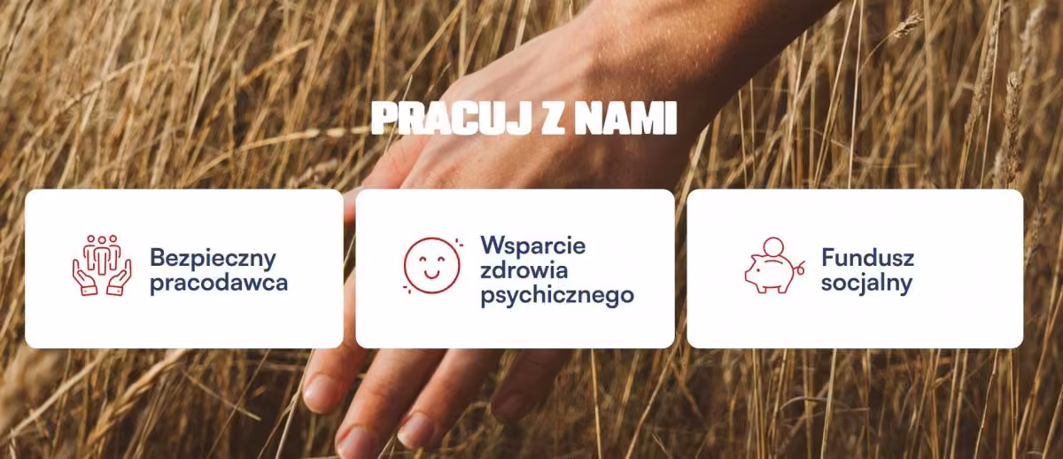 Specjalista ds. Systemów ERP