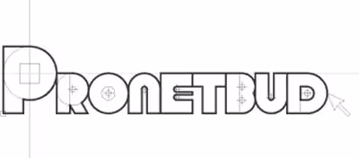 PRONETBUD