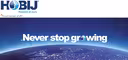 HOBIJ International Work Force Sp. z o.o.