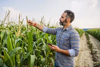 Agronom - praca, zarobki, doświadczenie, zatrudnienie, przyszłość
