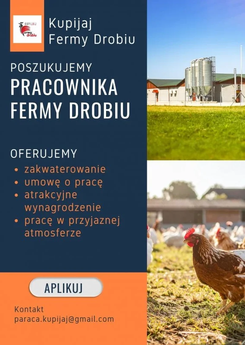 Pracownik produkcji / pracowniczka produkcji