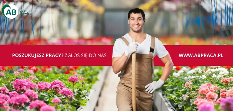 Pracownik/Pracowniczka przy zapylaniu kwiatów– praca w Holandii (M/K)