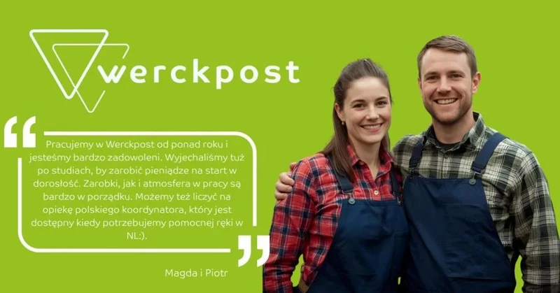 Zbiory papryki | €15,84 + bonusy | Praca w szklarni | Zakwaterowanie + darmowy transport do pracy