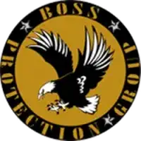 Boss Protection Group Sp. z o.o.