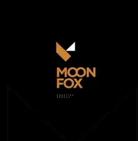Moonfox Creative Agency Paweł Majdański