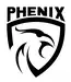 Phenix spółka z ograniczoną odpowiedzialnością