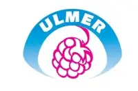 "Ulmer" Ulmer Danuta i Paweł Sp.J