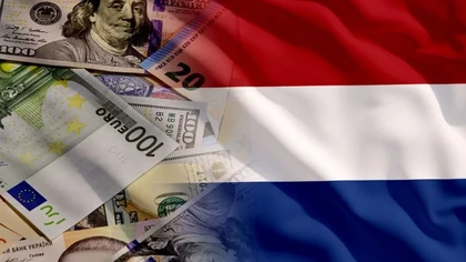 Zarobki Holandia - ile można zarobić w Holandii?