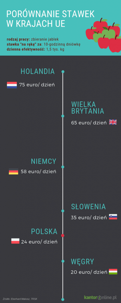 Infografika - porównanie stawek godzinowych w krajach UE